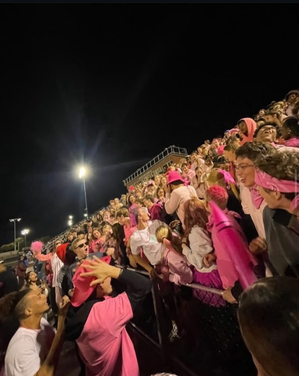 The student section at the Game