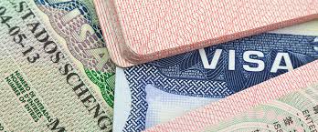 Visa papers